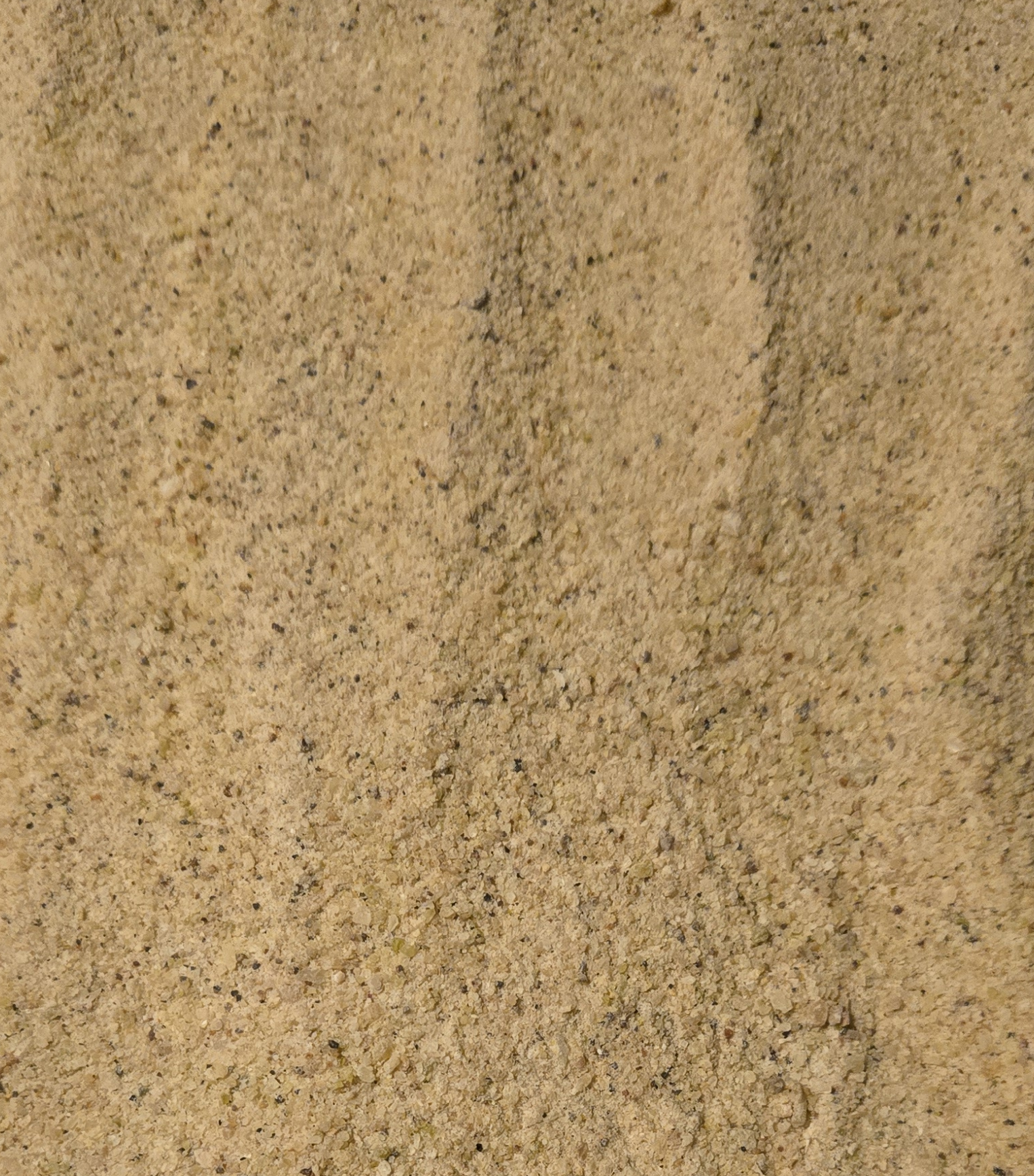 Garlic Powder Mix, Dry Roasted
